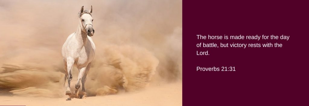 Scripture verse 2