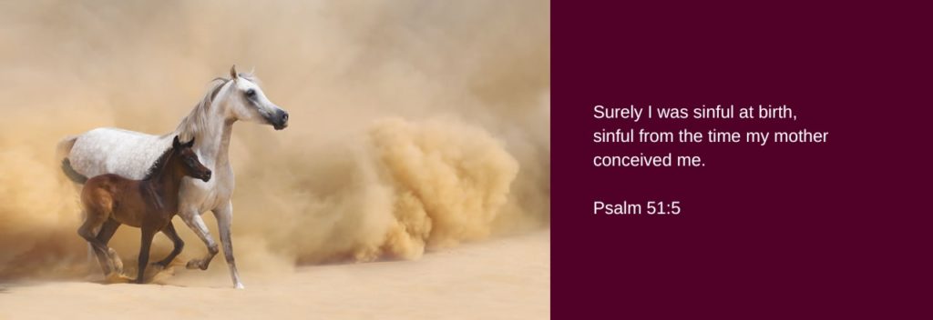 Scripture verse 1